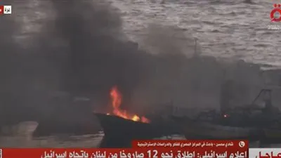 باحث: موقف مصر ثابت من القضية الفلسطينية.. ومحاولات لإحياء صفقة القرن (فيديو)