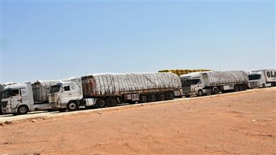 التحالف الوطني: تدفق المساعدات إلى رفح رسالة إنسانية للعالم لدعم غزة (فيديو)