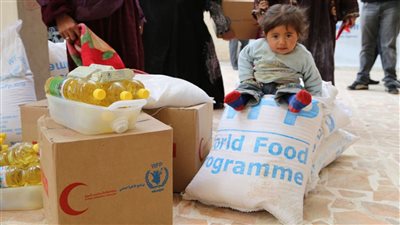 عاجل - برنامج الأغذية العالمي يضرب إسرائيل بـ 