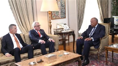 الخارجية: الحل الشامل والعادل للقضية الفلسطينية الضمانة الوحيدة لتحقيق السلام 