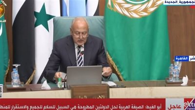 أحمد أبو الغيط يدعو بضرورة وقف إطلاق النار في غزة 