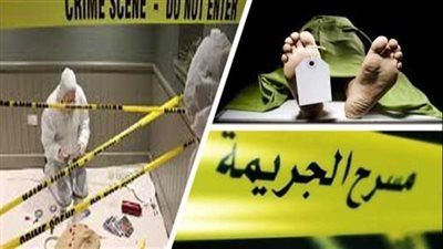 أبرزها قتل 3 أطفال على يد الجدة والأب.. 6 جرائم مأساوية هزت الجيزة خلال أسبوع