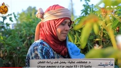 100 مليون مزارع نصفهم سيدات.. مسؤول بمعهد القطن يكشف خطط الوزارة للتطوير 