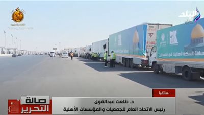 وصلت المعبر.. طلعت عبد القوي يكشف تفاصيل قافلة الإغاثة التاريخية لفلسطين (فيديو)