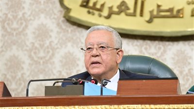 كانت وما زالت قضية مصر.. 7 رسائل لـ 