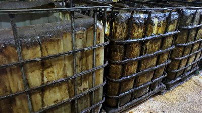 عاجل.. ضبط ١٠ أطنان زيت أكل مستعمل في الغربية (صور)