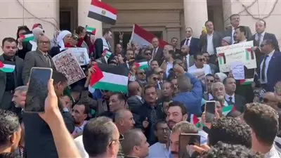 محامون ينظمون وقفة على سلالم نقابتهم بالقاهرة للتضامن مع فلسطين