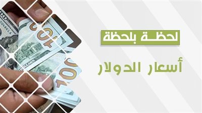 استقرار في سعر الدولار اليوم الأربعاء 18 أكتوبر 2023 في مصر 