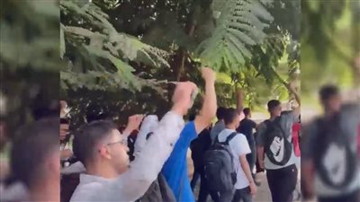 جامعات مصرية تنتفض ضد العدوان الإسرائيلي على غزة