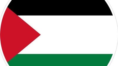 دعمًا لـ القضية الفلسطينية.. النجوم يغيرون الصورة الشخصية لعلم فلسطين