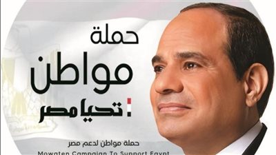 المصريون بالنمسا: ندعم الرئيس السيسي في كل قراراته