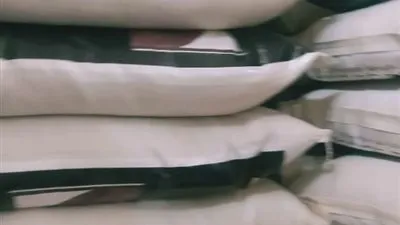 تموين المنوفية.. تحرير (221) محضرا ما بين مخالفات محلات وأسواق