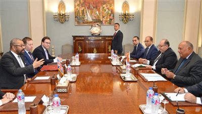 وزير الخارجية البريطاني يشيد بمبادرة مصر لاستضافة قمة دولية بشأن غزة 