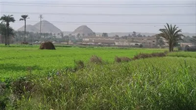 فوز سيوة ودهشور بأفضل القرى الريفية السياحية لعام 2023