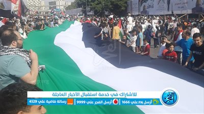 صور| بأكبر علم لفلسطين.. المصريين يدعمون غزة أمام المنصة 