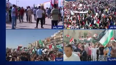 الأحزاب المصرية: 