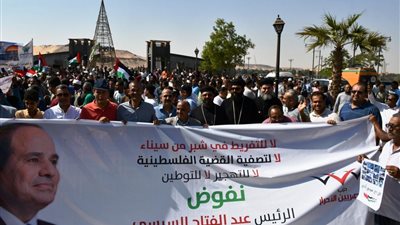 أهالي أسوان يشاركون في جمعة 