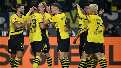 موعد مباراة بوروسيا دورتموند ضد نيوكاسل يونايتد في دوري أبطال أوروبا والقناة الناقلة