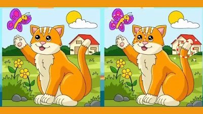 لغز أوجد الاختلاف بين الصورتين.. صعب وعاوز قوة تركيز وملاحظة.. أوجد الاختلاف خلال ٣٠ ثانية فقط