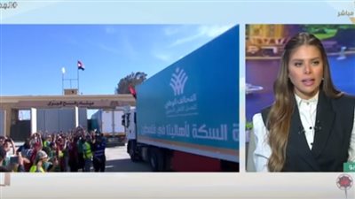 التحالف الوطني: استطعنا توصيل 957 شاحنة لغزة (فيديو)