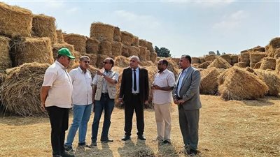وكيل زراعة الغربية يقوم بجولة تفقدية على أماكن تجميع قش الأرز (صور)
