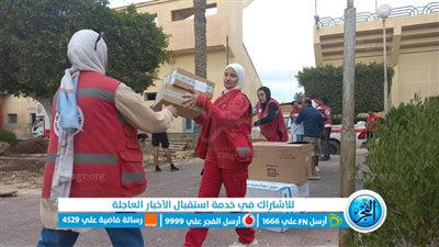 عاجل - تفاصيل وصول طائرة مساعدات كينية إلى مطار العريش موجهة لقطاع غزة (فلسطين مباشر تويتر)