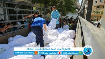 استشاري طب وقائي: المقابر الجماعية بغزة حل طارئ لمنع انتشار البكتيريا والميكروبات (فيديو)