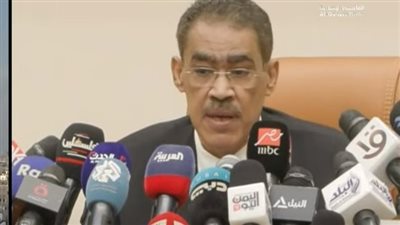 ضياء رشوان: 