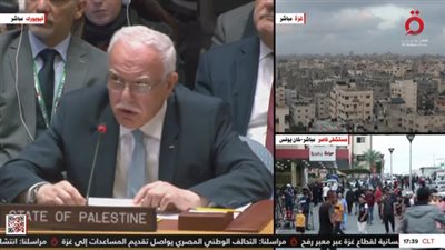 وزير خارجية فلسطين يطالب بتمديد الهدنة وتحويلها لوقف إطلاق نار دائم (فيديو)