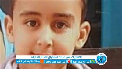 مصرع طفل إثر تعرضه لصعق كهربائي بالمنوفية