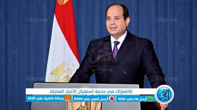 متحدث الرئاسة يكشف المغزى من إذاعة لقائي السيسي مع بلينكين وسوناك 