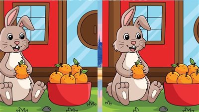 لغز ممتع وصعب... أوجد 3 اختلافات بين الصورتين خلال 30 ثانية فقط