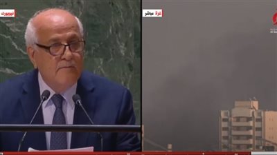 عاجل | مندوب فلسطين في الأمم المتحدة باكيًا: 