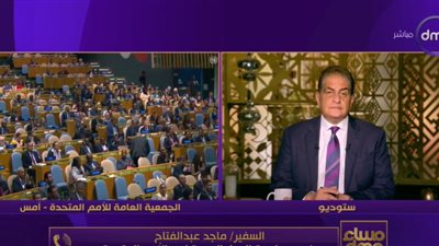 ممثل العراق يخطأ في التصويت لمشروع هدنة غزة في الأمم المتحدة (فيديو)