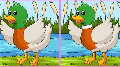 لغز البطة الملونة.. هل يمكنك اكتشاف 4 اختلافات بين الصورتين في 15 ثانية؟