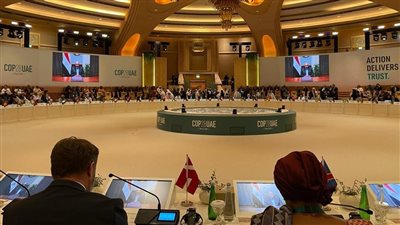 وزير الخارجية يطالب الدول المتقدمة الوفاء بتعهداتها لمواجهة تهديدات التغير المناخي