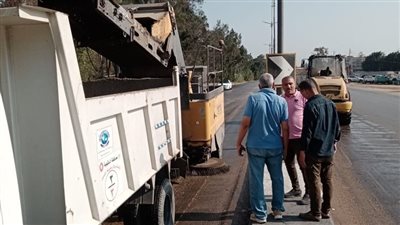 حملات نظافة مكبرة ترفع أطنان قمامة من شوارع وميادين الدقهلية 