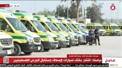 عاجل| مصادر مصرية تنفي استشهاد جرحى فلسطينيين داخل سيارات إسعاف بمعبر رفح