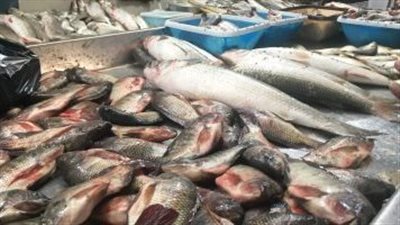 ضبط طن أسماك منتهية الصلاحية ومجهولة المصدر بالسلام 
