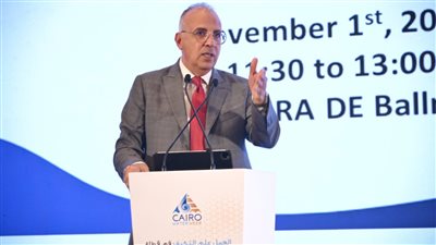 وزير الري يؤكد أهمية التعاون المشترك بين مصر واليابان في مجال المياه 