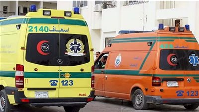 إصابة طفلين في حادث سيارة أثناء عبورهم الطريق بالفيوم 