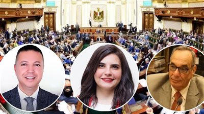 برلمانيون: بيان السفارة الأمريكية يؤكد سير مصر بشكل صحيح نحو القضية الفلسطينية