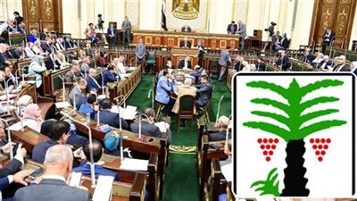 بعد موافقة النواب.. تعرف على موارد وأهداف تشكيل صندوق رعاية الطفولة والأمومة