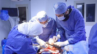 لمتابعة الخدمات الطبية المقدمة للأشقاء الفلسطنيين.. وزير الصحة يتوجه للعريش