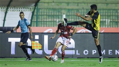 ذئب الأهلي هرب من الجبل ثم عاد وأكل الذئاب