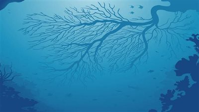 حل لغز 'بصمات غامضة' في أعماق البحار!