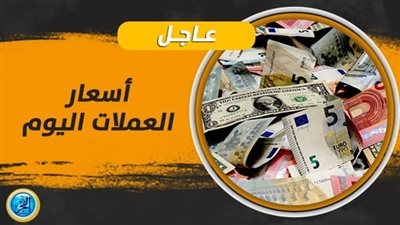 الفرنك السويسري بـ35.68 جنيها.. أسعار العملات الأجنبية والعربية مقابل الجنيه اليوم 26 يناير بالسوق السوداء