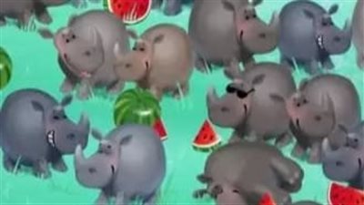 لغز البحث: اعثر على فرس النهر المختبئ بين قطيع وحيد القرن في 10 ثوان