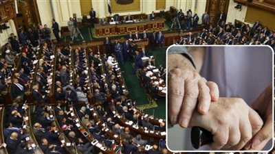 قبل مناقشته.. تعرف على أهداف وفلسفة مشروع قانون حقوق المسنين