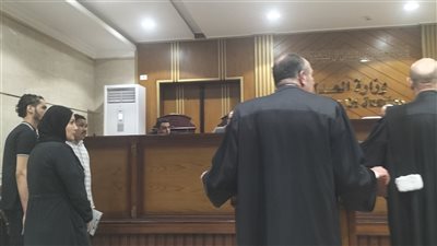 3 مطالب لمحامي المتهمة بقتل زوجها بمشاركة عشيقها بالمنوفية 